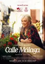 CalleMalaga_134269765379238295_big-cine_deskt.webp