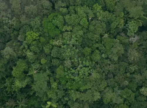 KlimaatFilmavondEatMoreTrees_134374983961185059_big-cine_deskt.webp