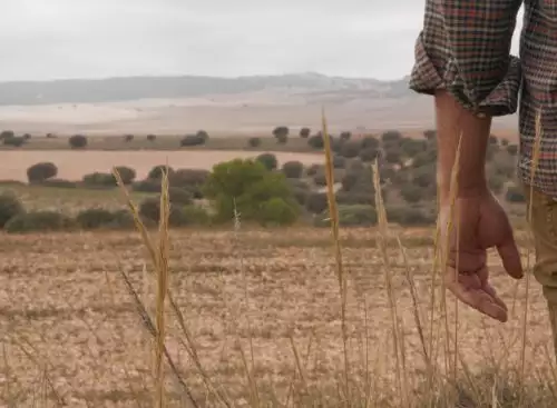 KlimaatFilmavondEatMoreTrees_134374983949968565_big-cine_deskt.webp