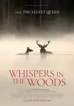 WhispersintheWoods_134193559556124195_big-cine_deskt.webp
